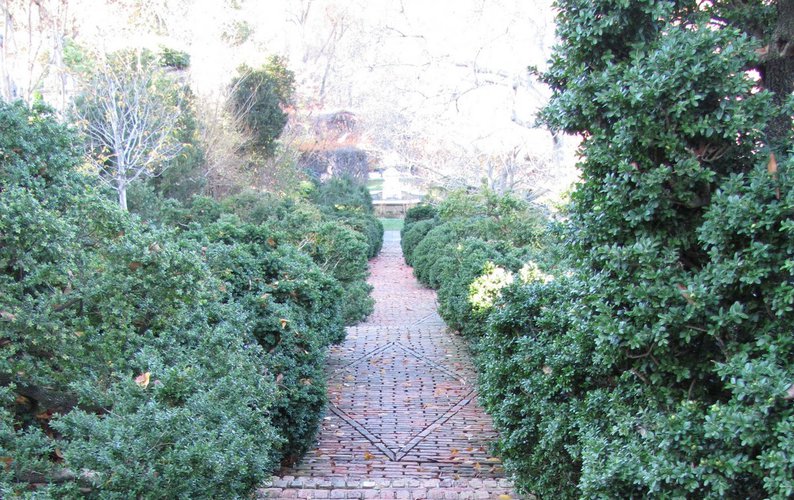 Img 3324 794 0x0x1200x756 q85